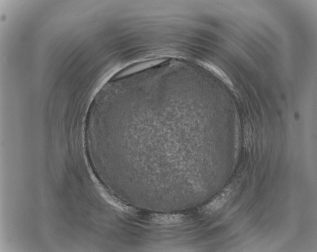 X0000071861039200607141810