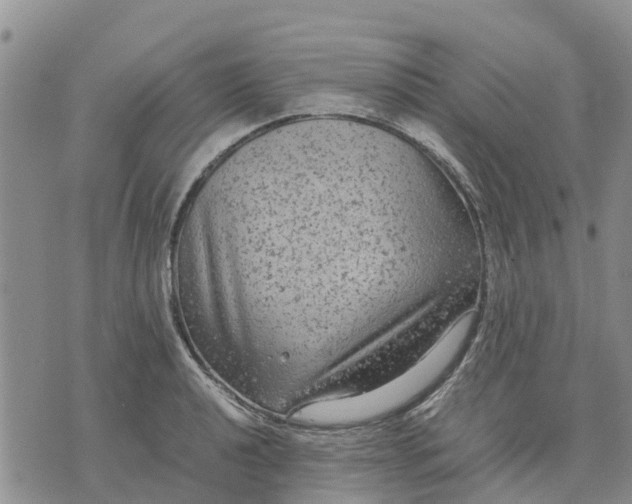 X0000071861040200607141810