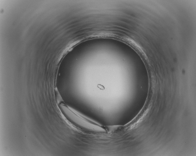 X0000071861041200607141810