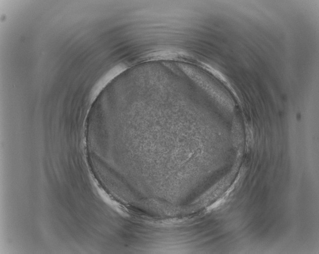 X0000071861042200607141810