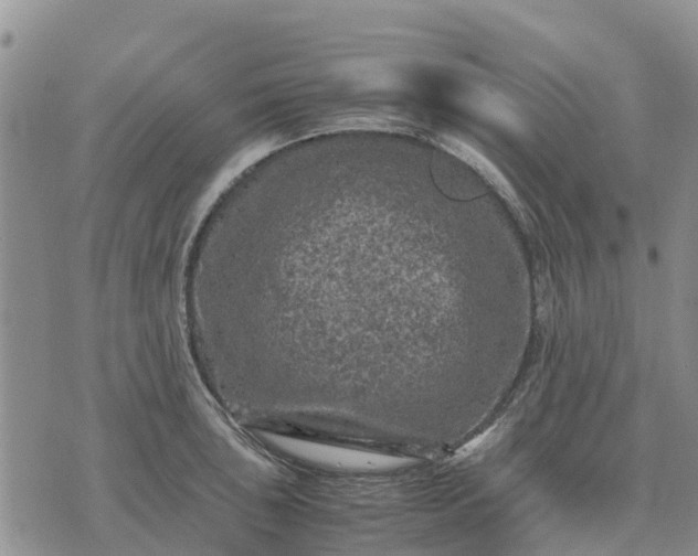 X0000071861043200607141810