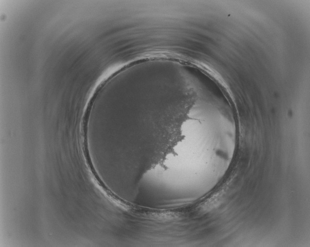 X0000071861045200607141810