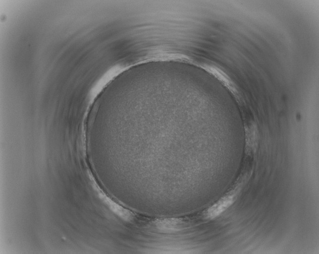 X0000071861046200607141810