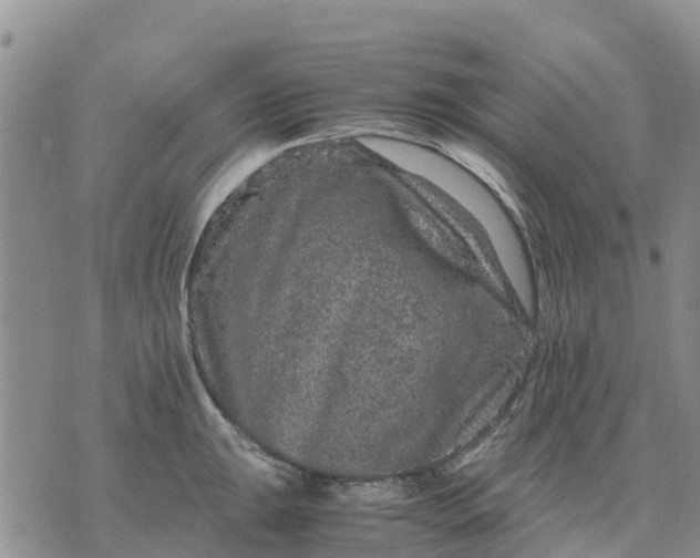 X0000071861047200607141810