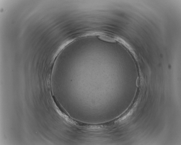 X0000071861049200607141810