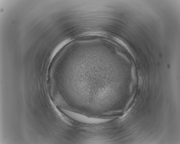 X0000071861050200607141810