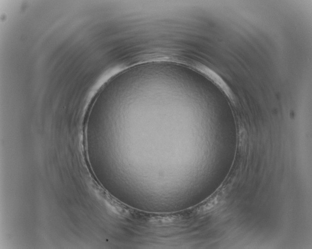 X0000071861051200607141810