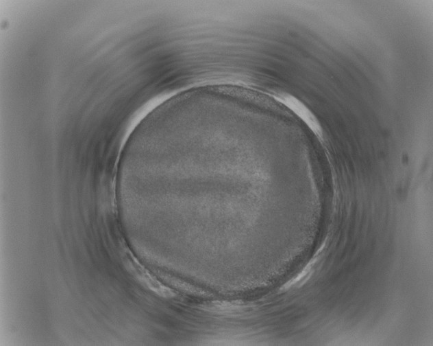 X0000071861052200607141810