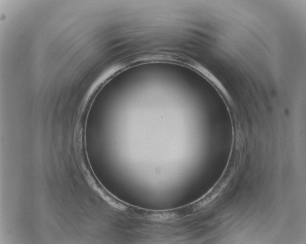 X0000071861053200607141810