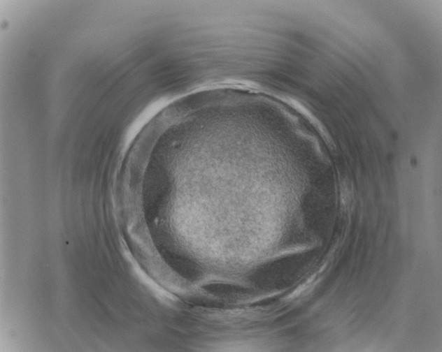 X0000071861054200607141810