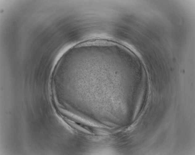 X0000071861056200607141810