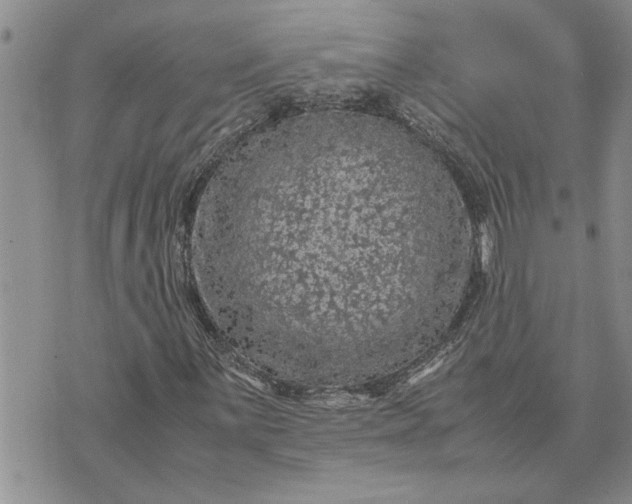 X0000071861059200607141809