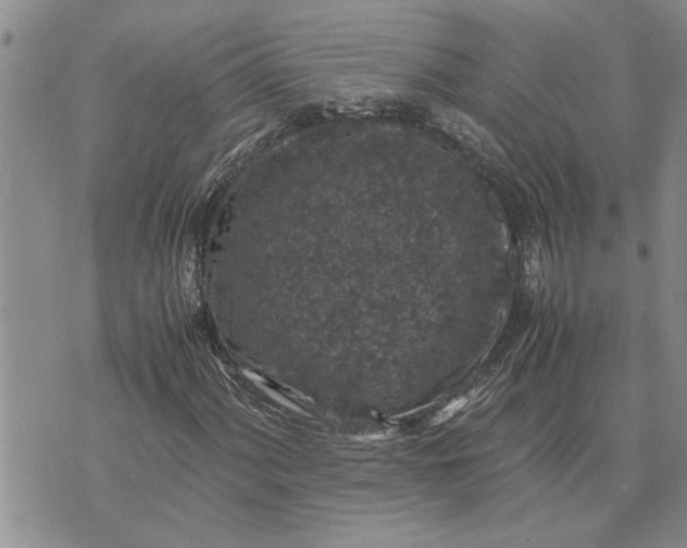 X0000071861060200607141809