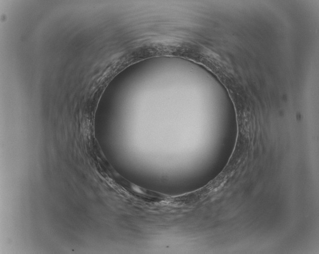 X0000071861061200607141809