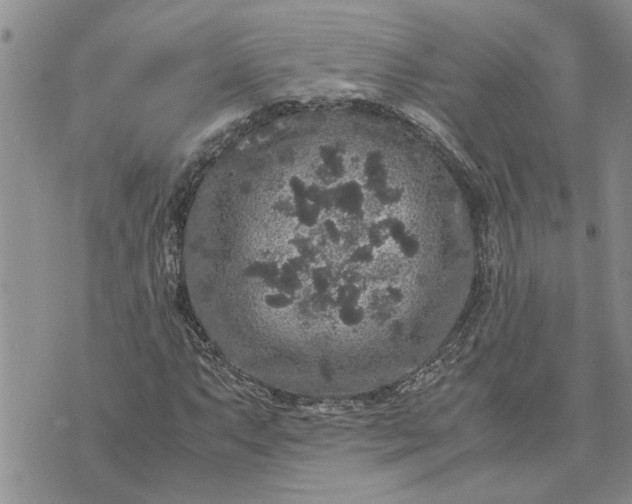 X0000071861063200607141809