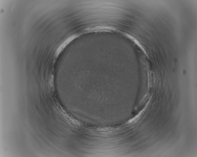 X0000071861066200607141809