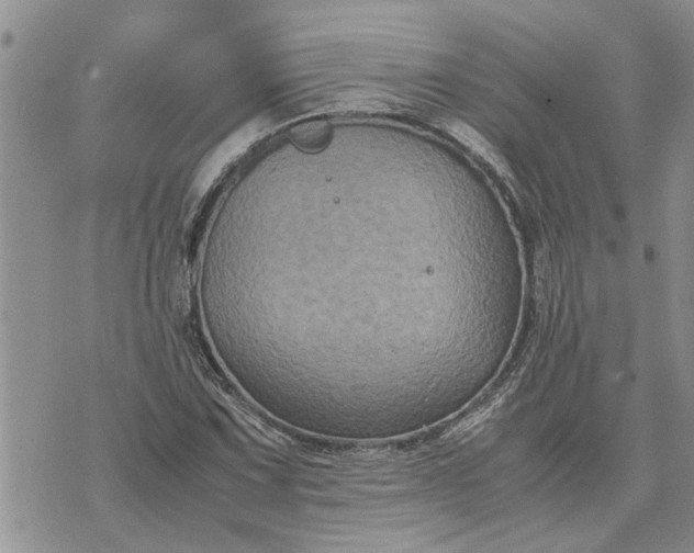 X0000071861067200607141809