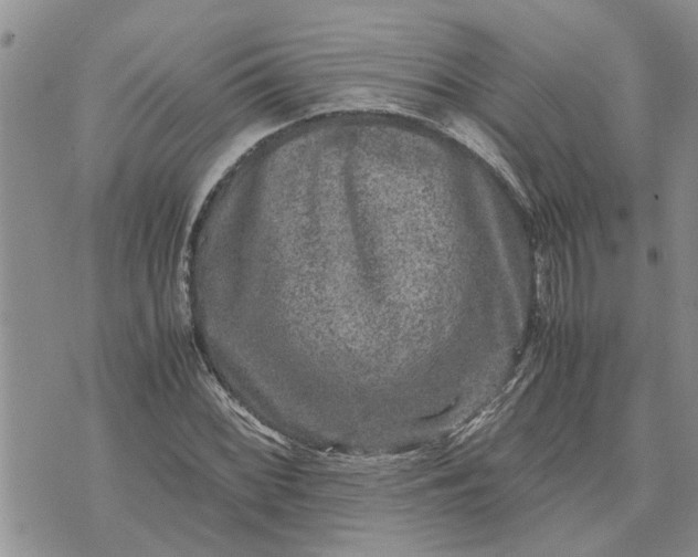 X0000071861068200607141809