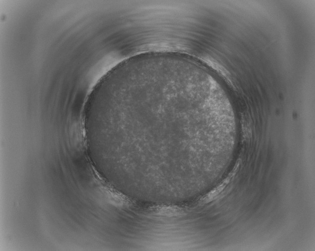 X0000071861070200607141809