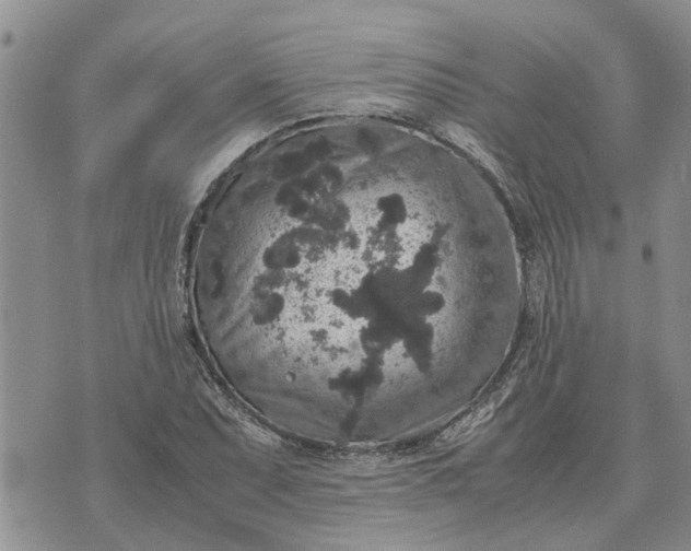 X0000071861071200607141809