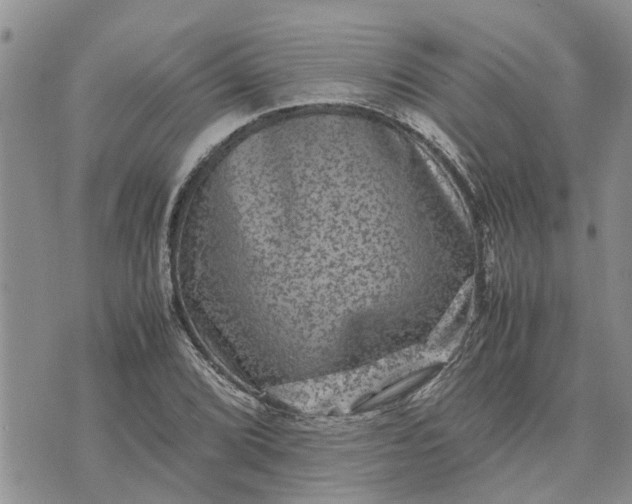 X0000071861072200607141809