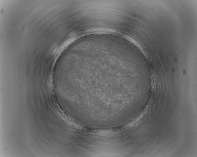 X0000071861074200607141809