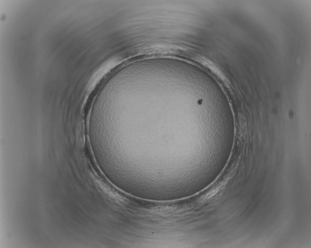 X0000071861075200607141809