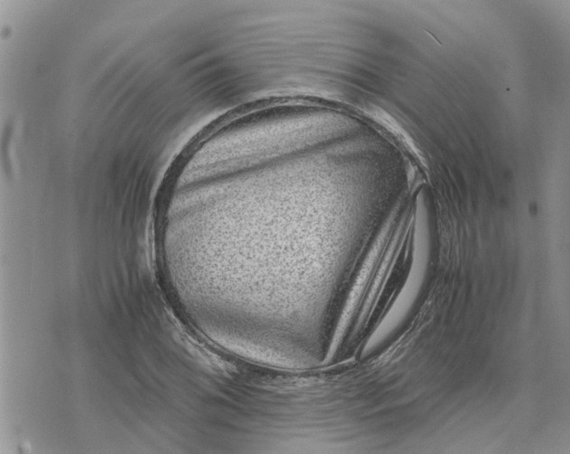 X0000071861076200607141809