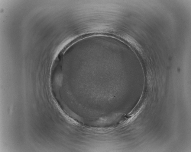 X0000071861077200607141809