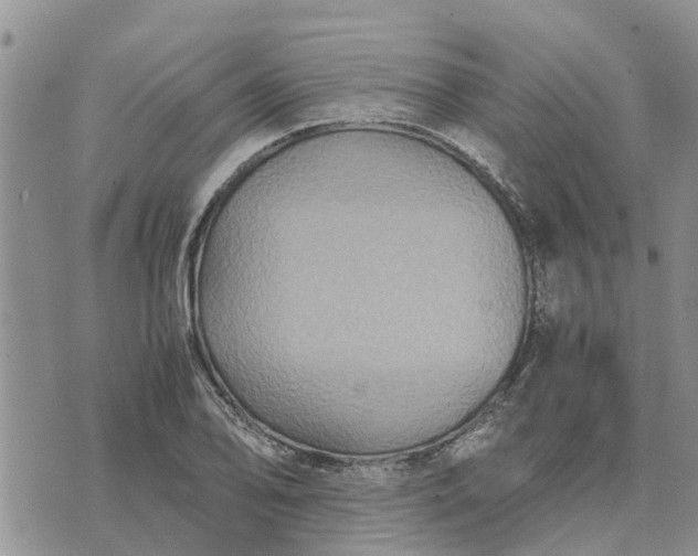 X0000071861078200607141809