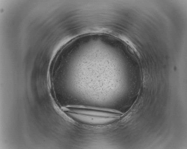 X0000071861080200607141809