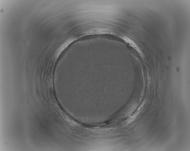 X0000071861081200607141809