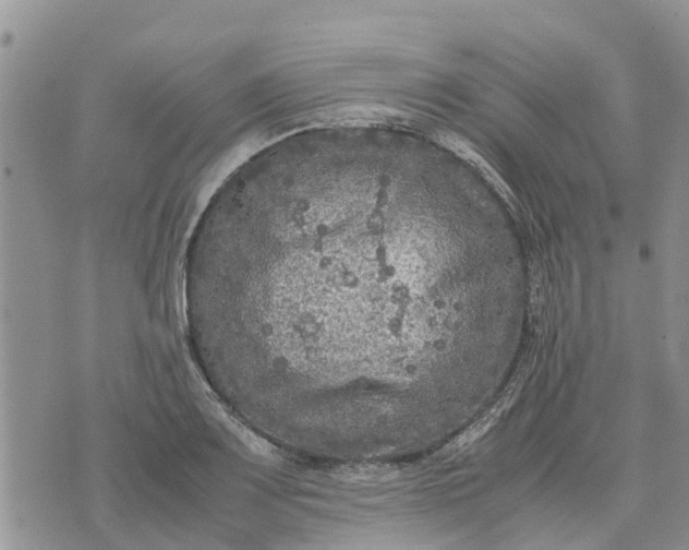 X0000071861083200607141809