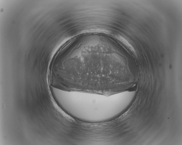 X0000071861084200607141809