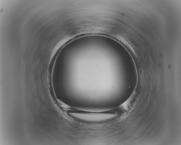 X0000071861085200607141809