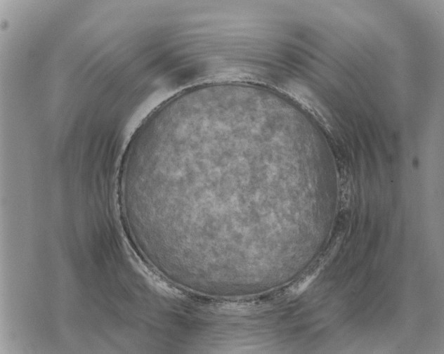 X0000071861086200607141809