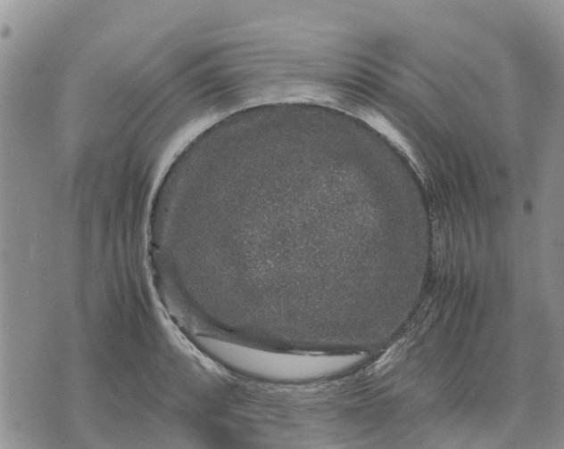 X0000071861088200607141809