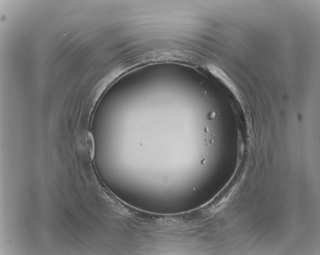 X0000071861089200607141809