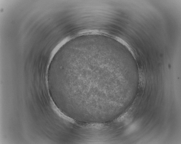 X0000071861090200607141809