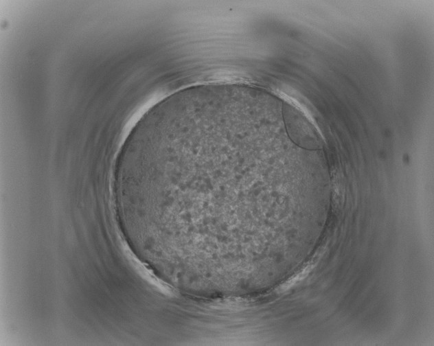 X0000071861091200607141809