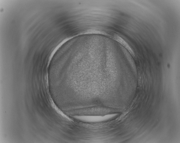 X0000071861092200607141809