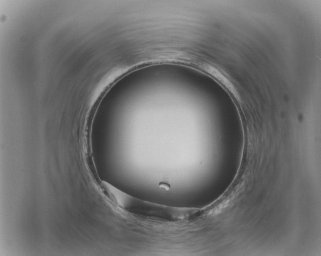 X0000071861093200607141809