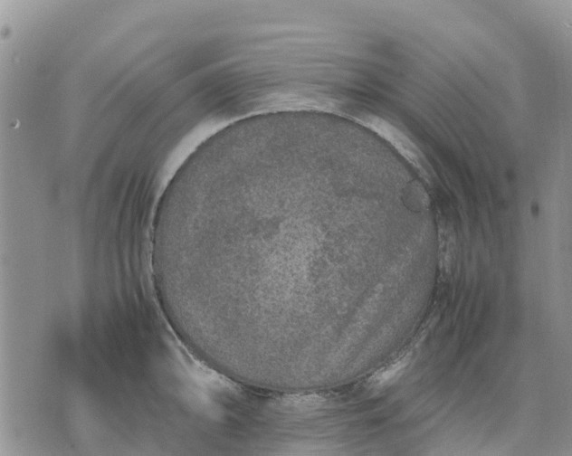 X0000071861094200607141809