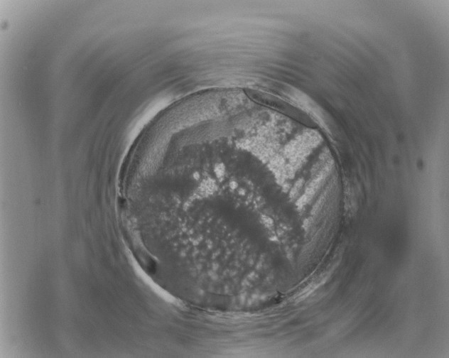 X0000071861095200607141809