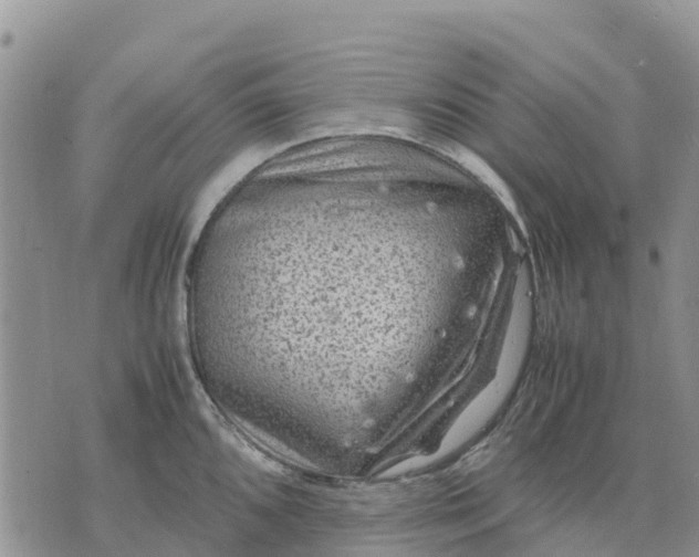 X0000071861096200607141809