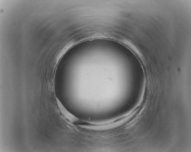 X0000071861097200607141809