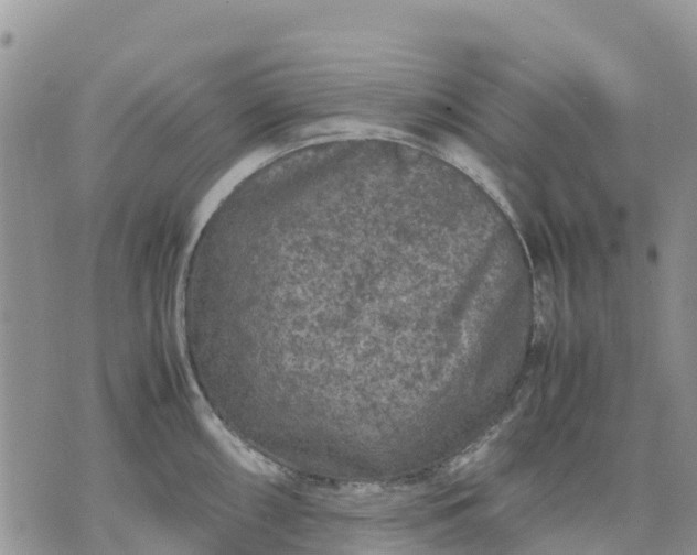 X0000071861098200607141809