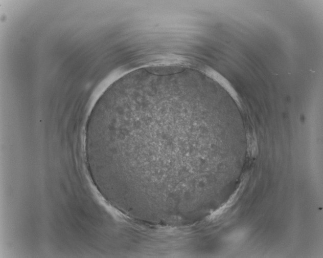 X0000071861099200607141809