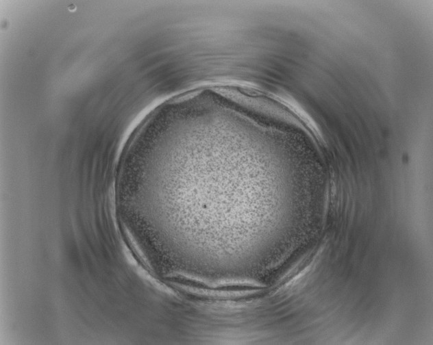 X0000071861100200607141809