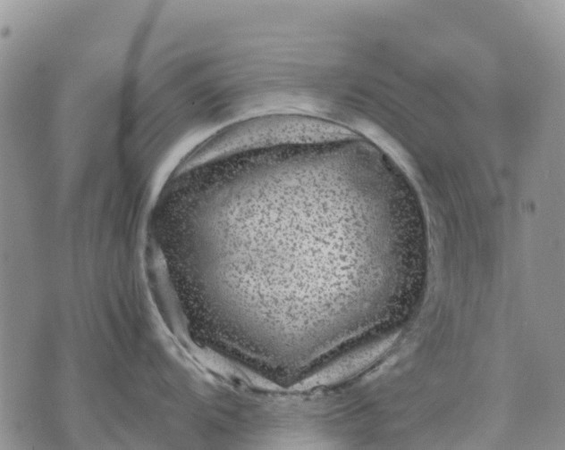 X0000071861104200607141809